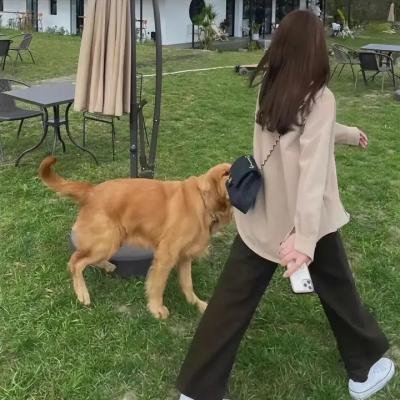 地球之极·侣行第十季